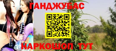 стаф Кингисепп