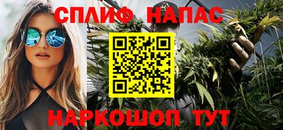 стаф Кингисепп