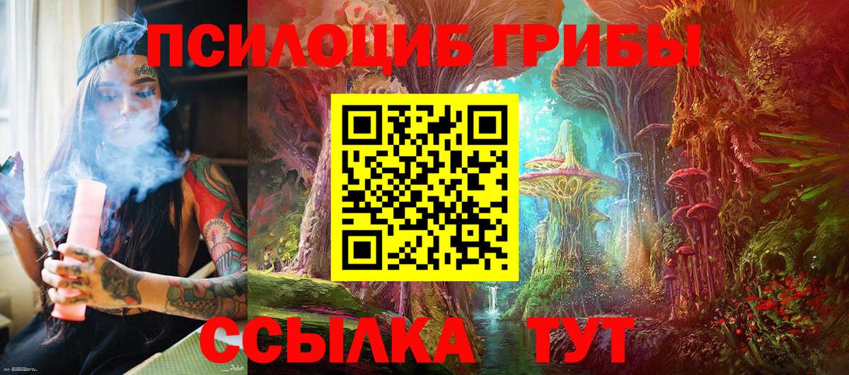 Псилоцибиновые грибы Psilocybe  Галлюциногенные грибы прущие грибы  Вход с VPN  Котлас 