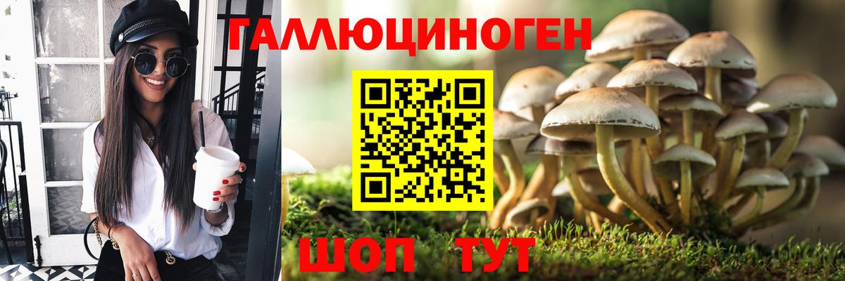 Галлюциногенные грибы прущие грибы Котлас