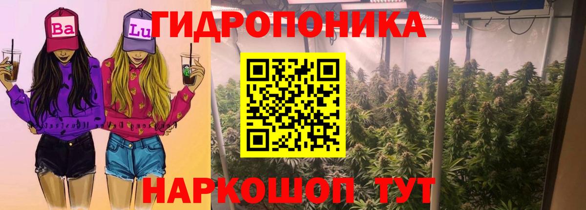 Бошки марихуана White Widow Котлас